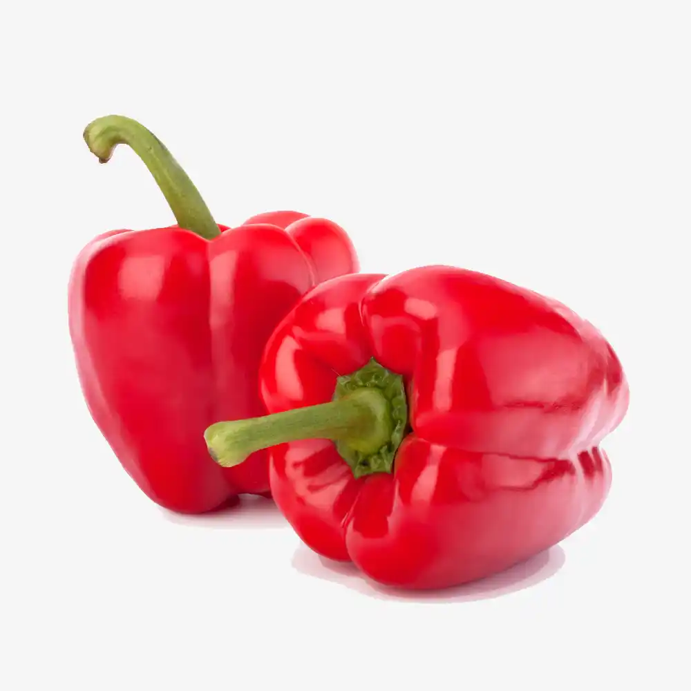 Red Bell Pepper