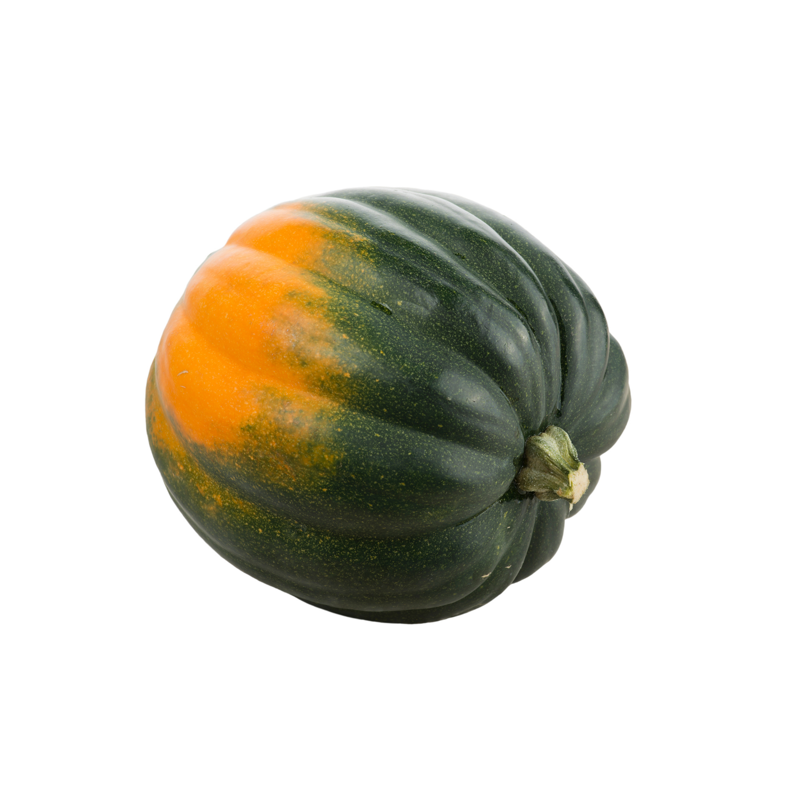Acorn Squash - Image 1