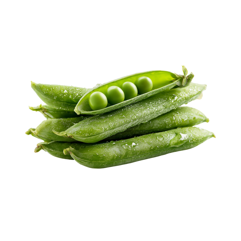 Amish Flat Beans
