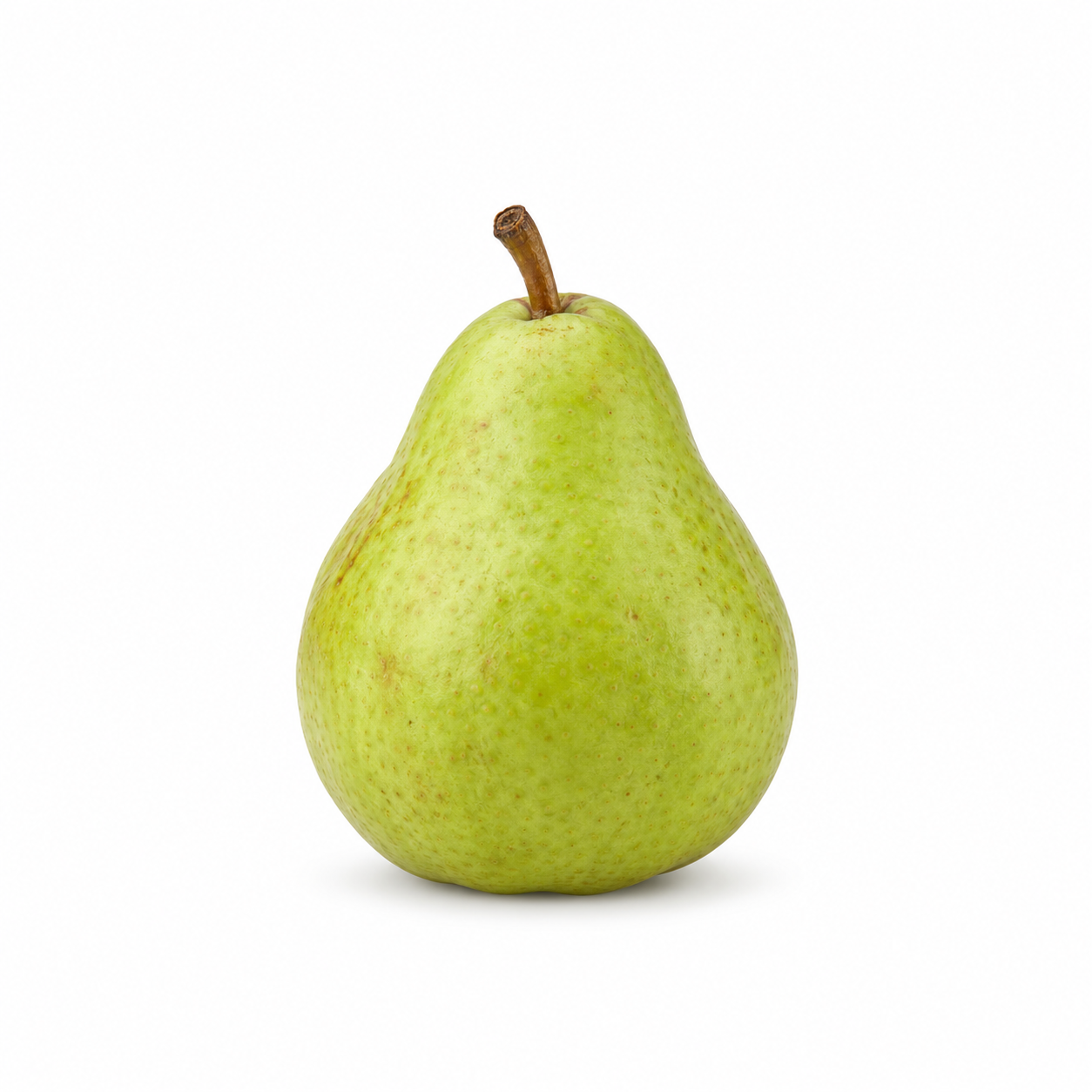 Anjou Pear - Image 1