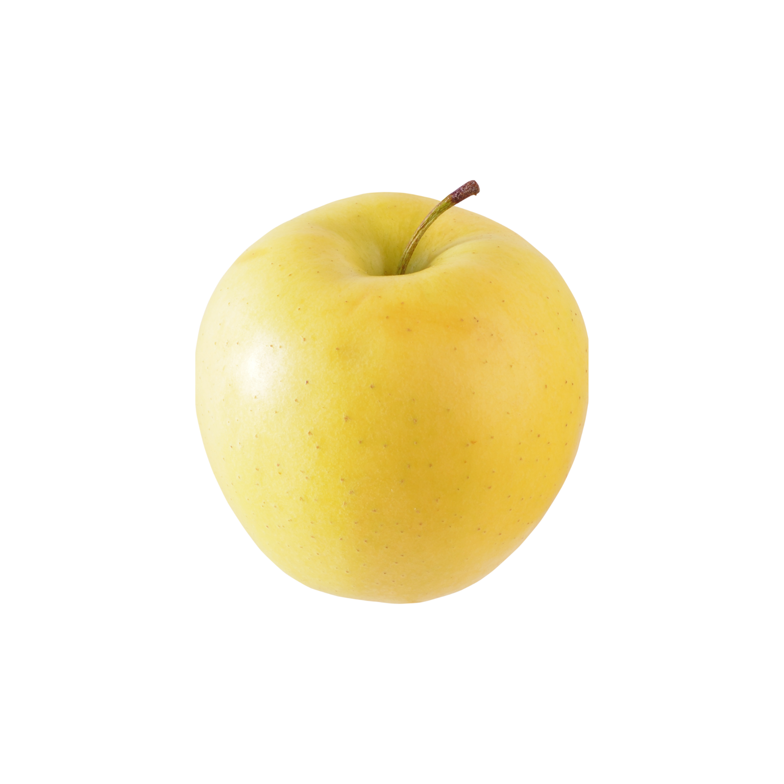 Apple Gingergold - Image 1