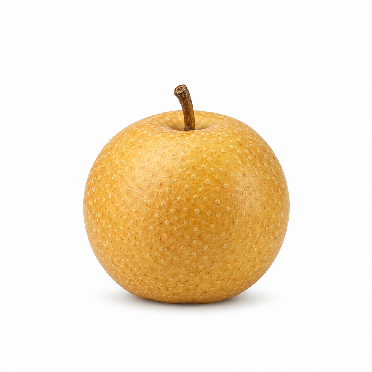 Asian Pear - Image 1