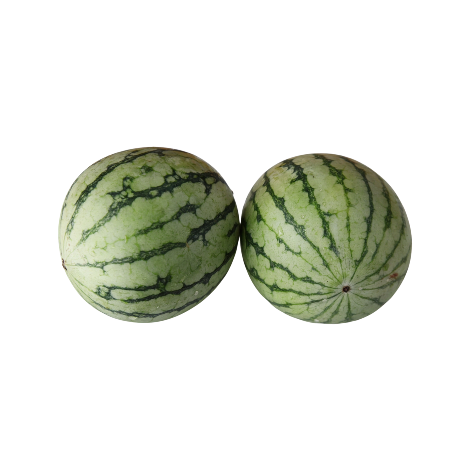 Baby Watermelon - Image 1