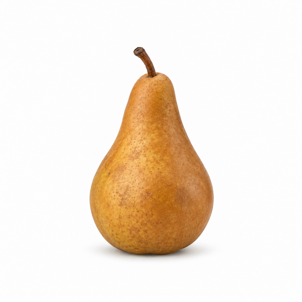 Bosc Pear