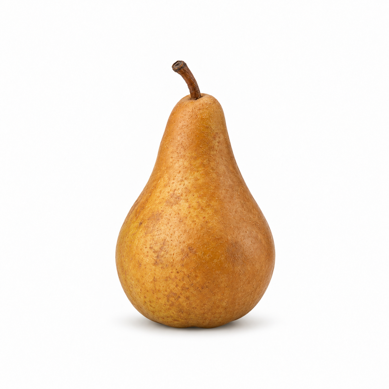 Bosc Pear - Image 1