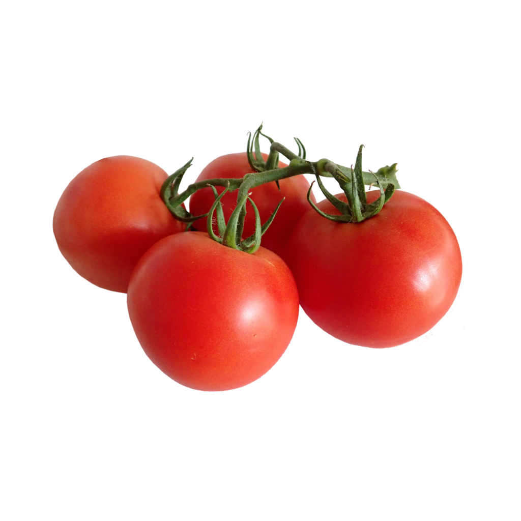 Campari Tomatoes