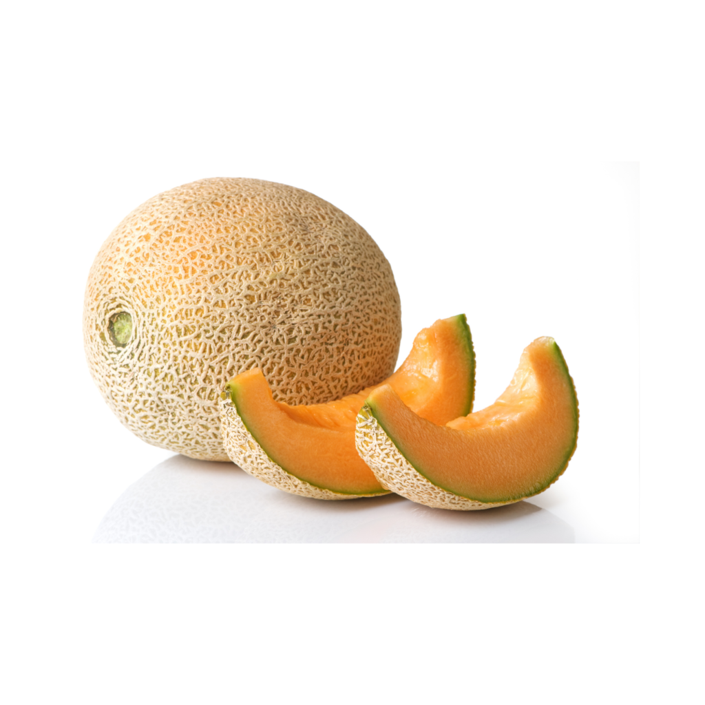 Cantaloupe