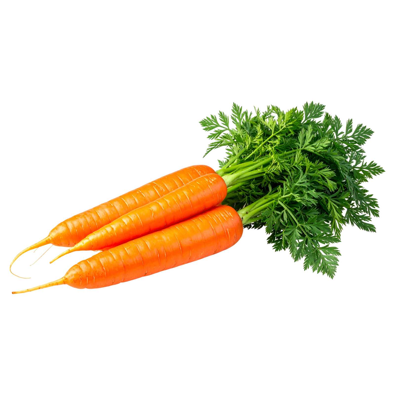 Carrot Cello 1lb - Image 1