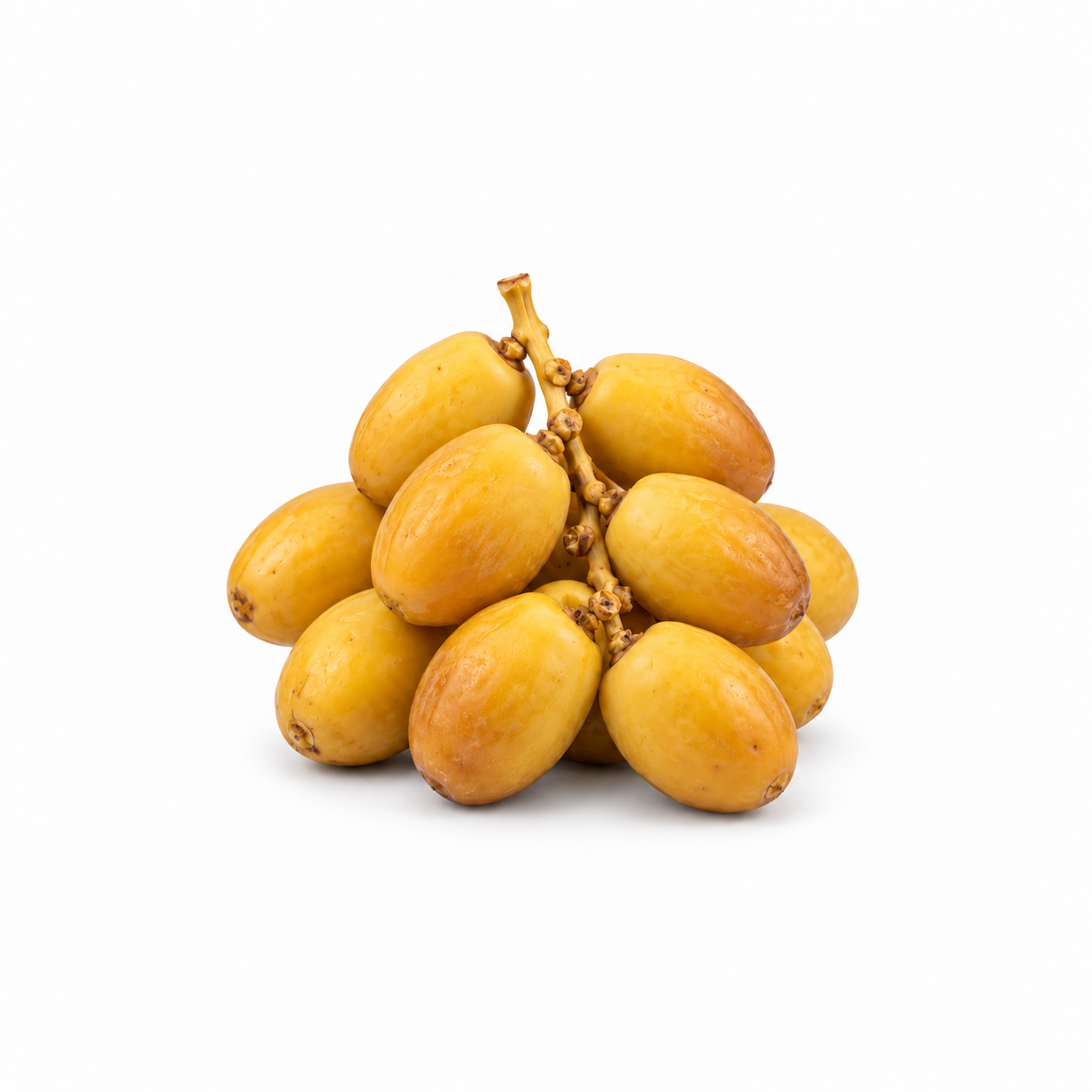 Fresh Yellow Bahri Dates - Image 1