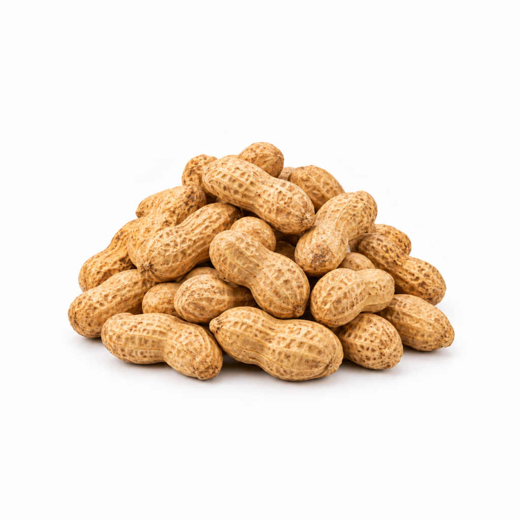 Fresh (Raw) Peanuts