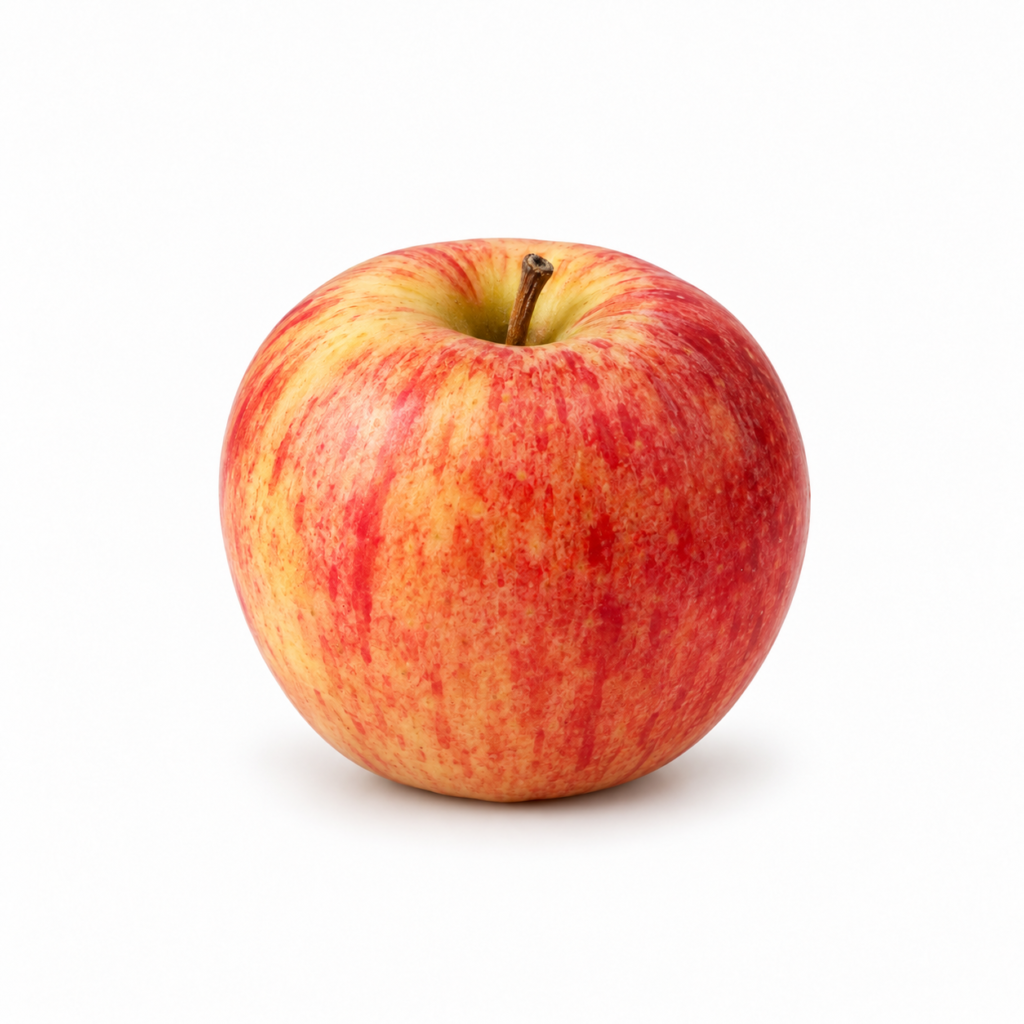 Gala Apple
