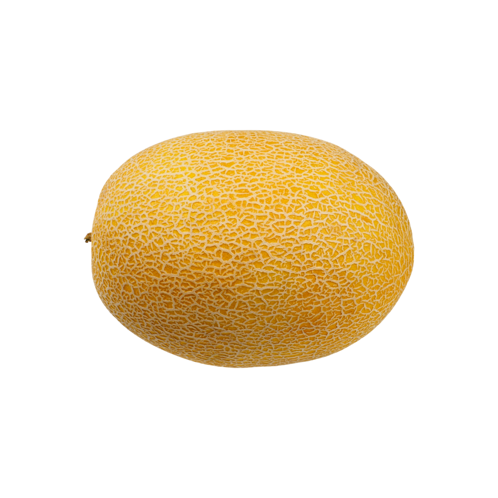 Galia Melon