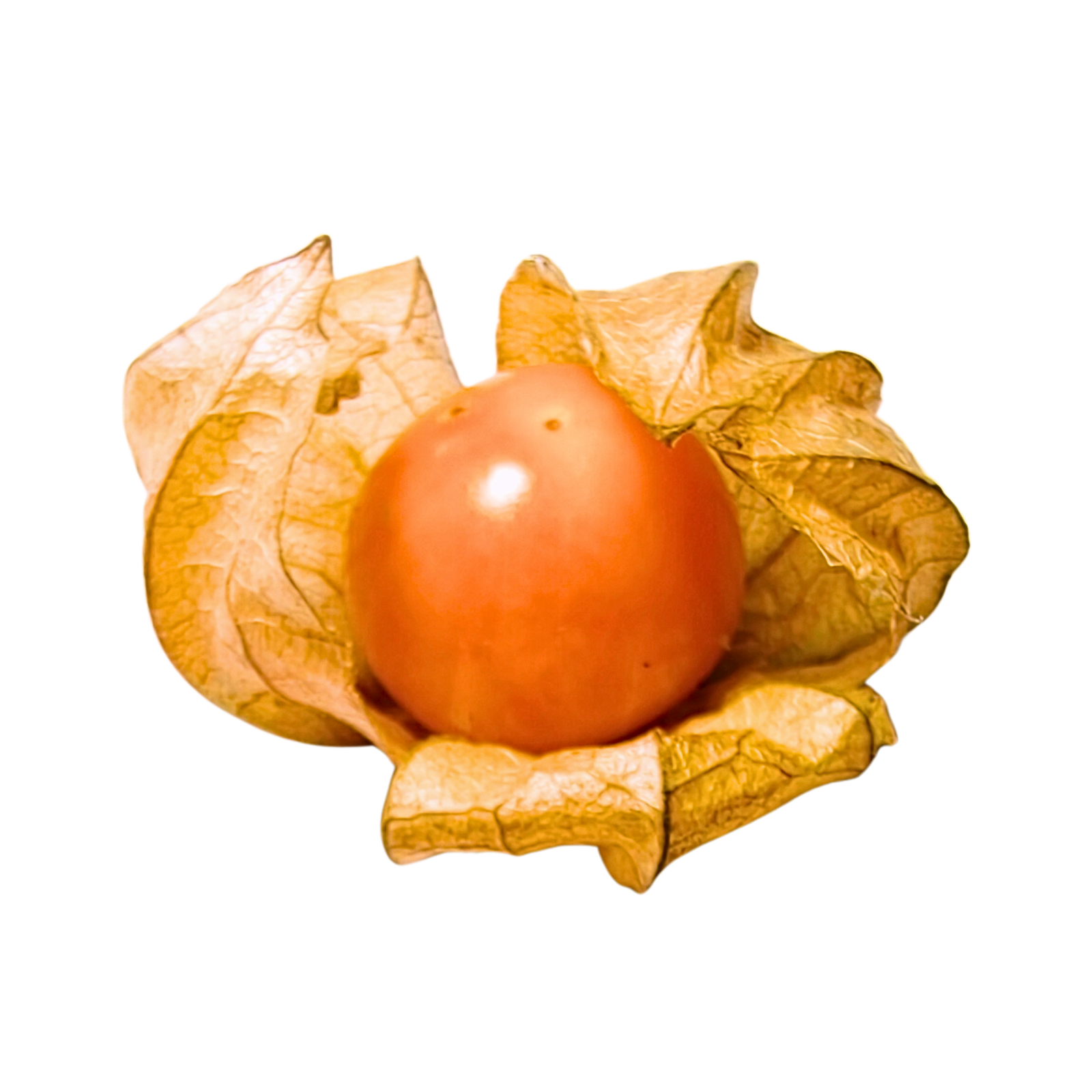 Golden Berries - Image 1