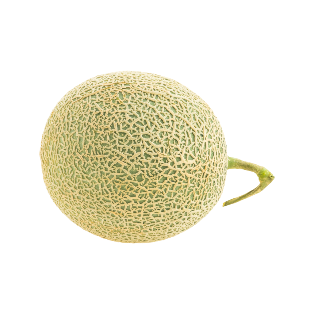 Honeydew Melon