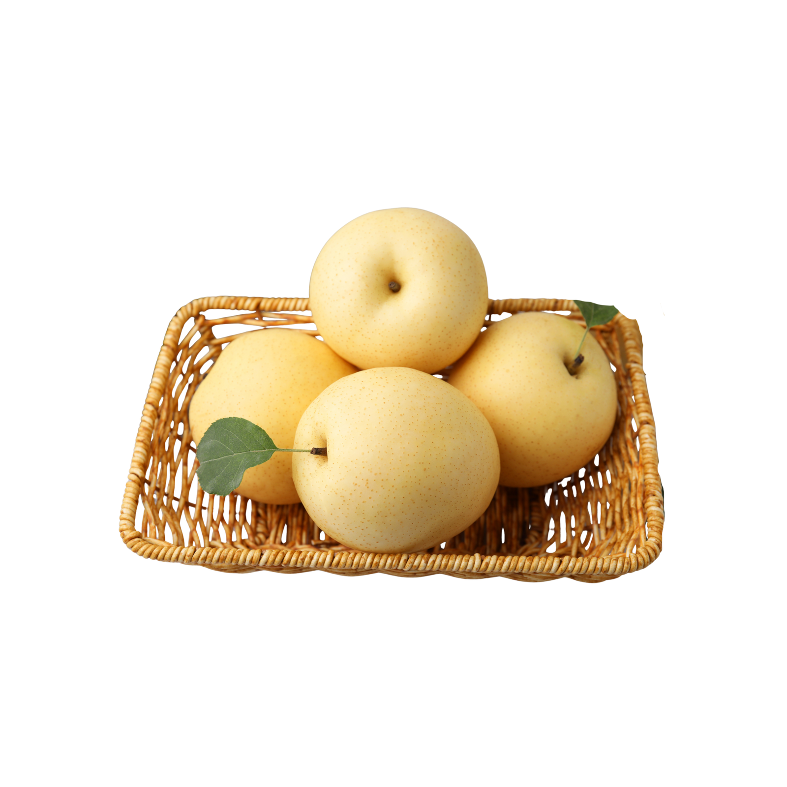 Korean Shingo Pears - Image 1