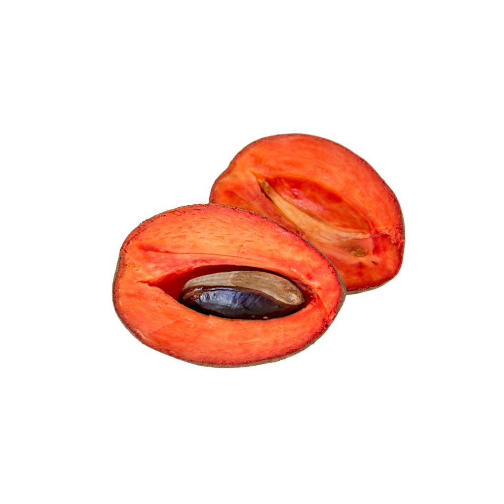 Mamey Fruit