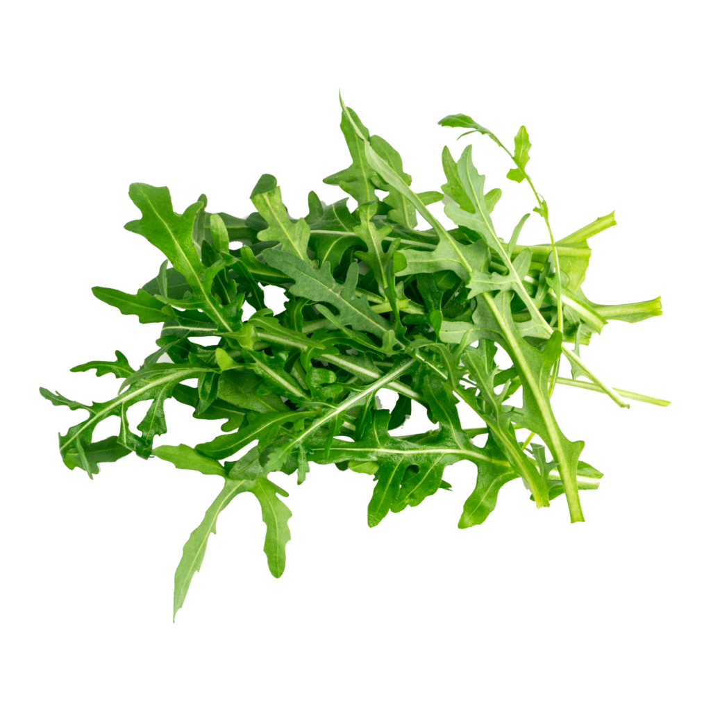 Organic Baby Arugula
