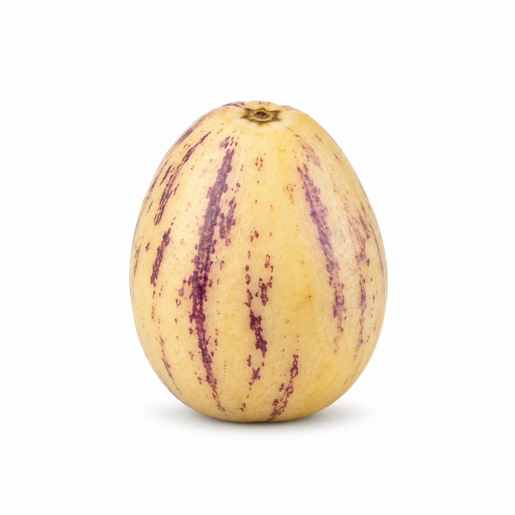 Pepino Melon