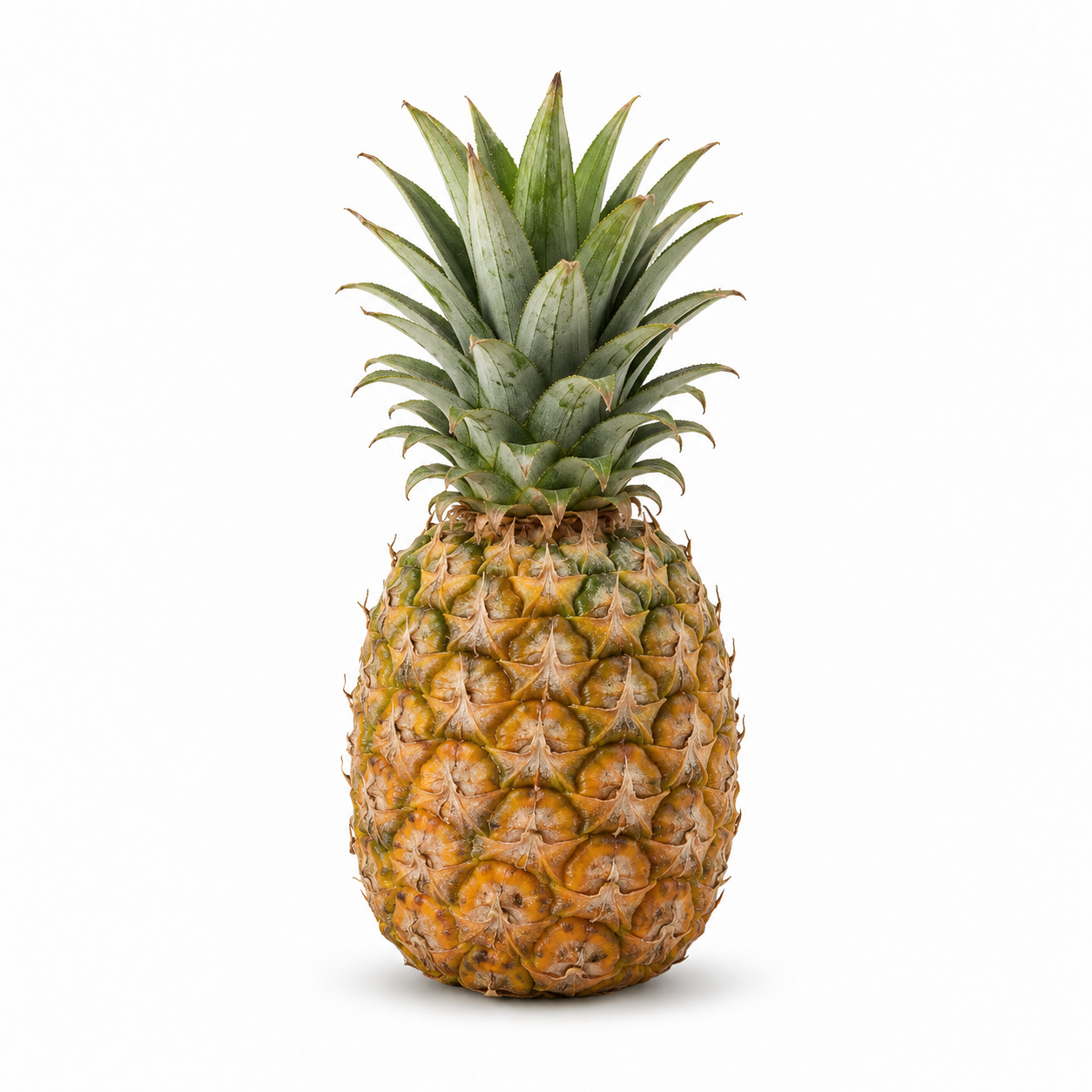 Pineapple - Image 1