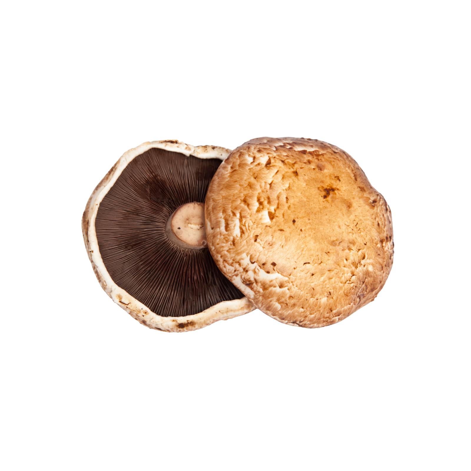 Portabella Mushrooms - Image 1