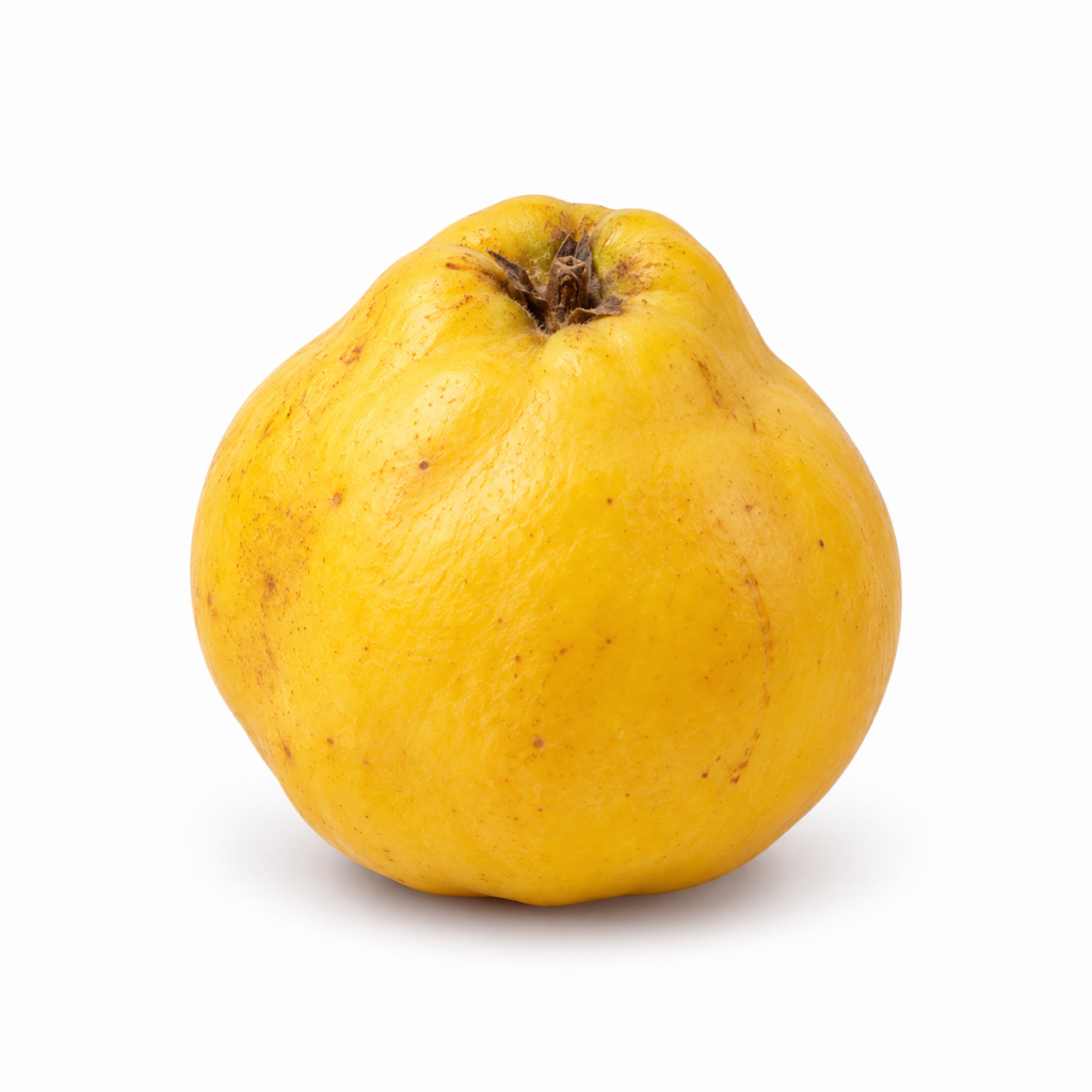 Quince