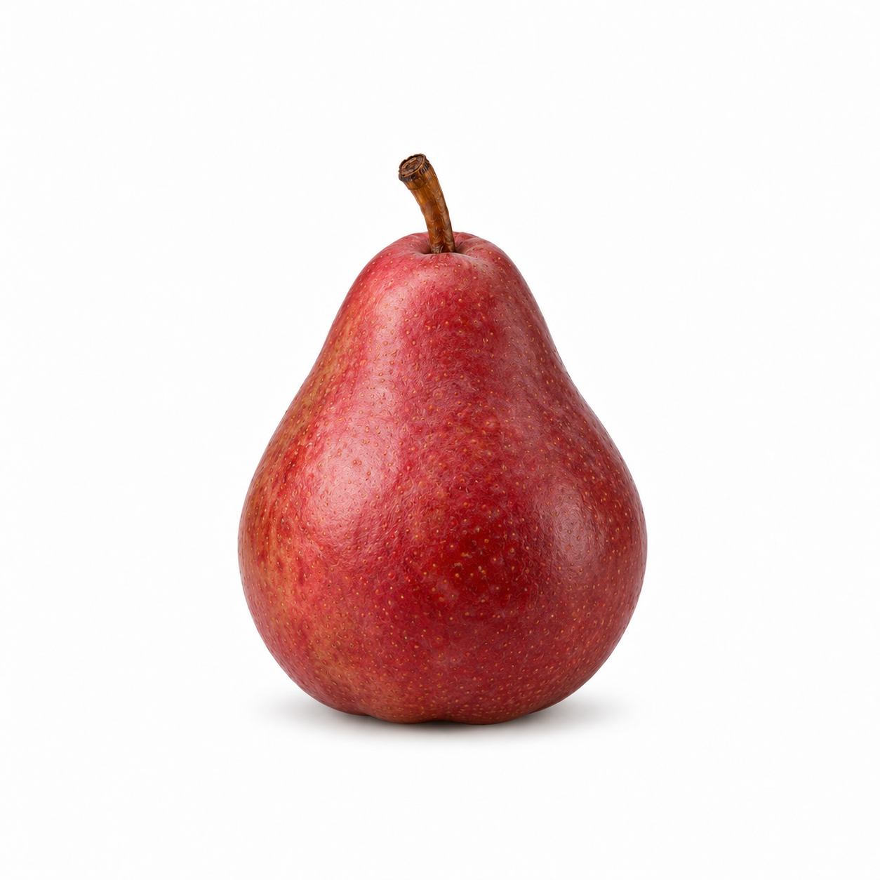 Red Anjou Pear - Image 1