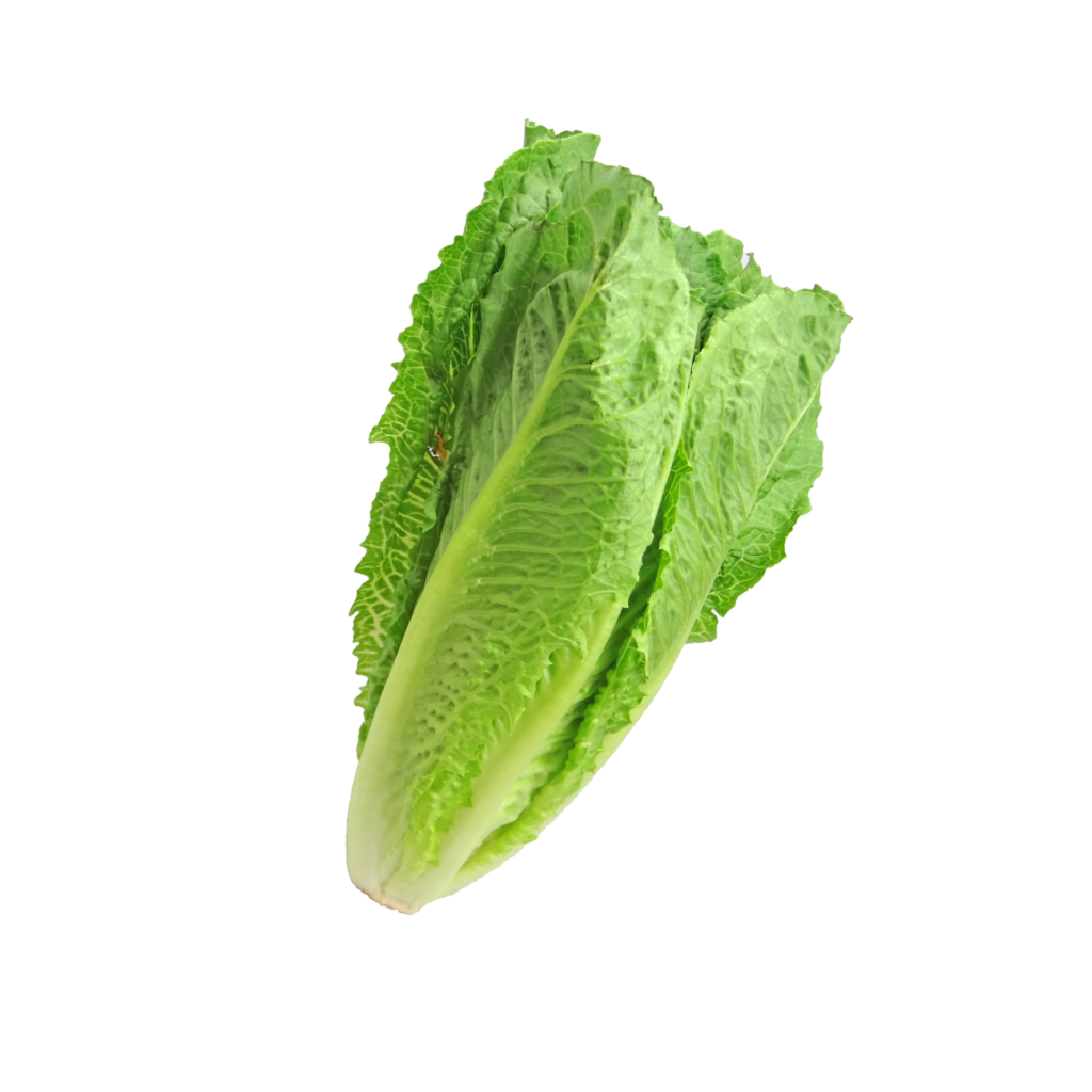 Romaine Heart Leaves, 6 OZ