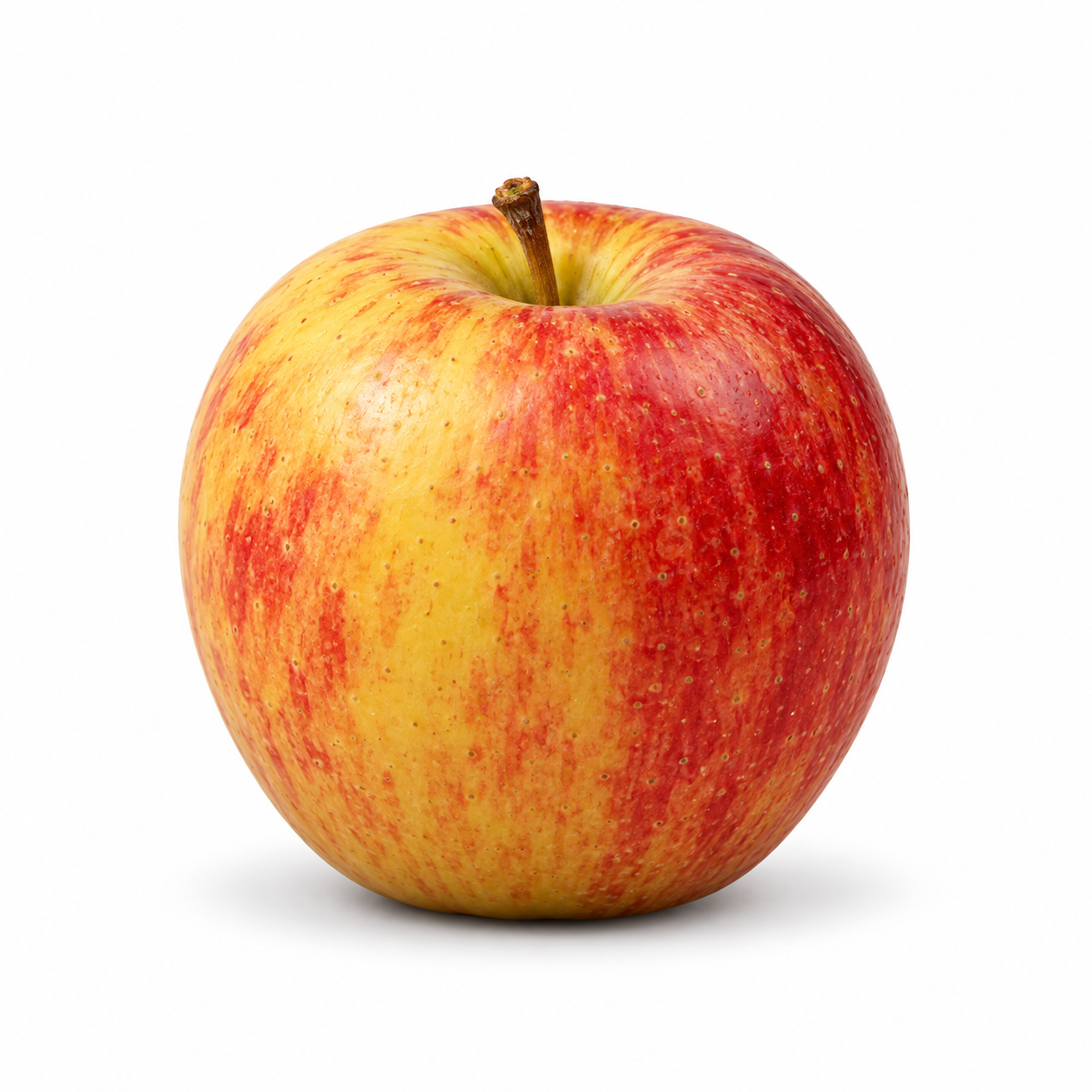 Sugar Bee Apple - Image 1