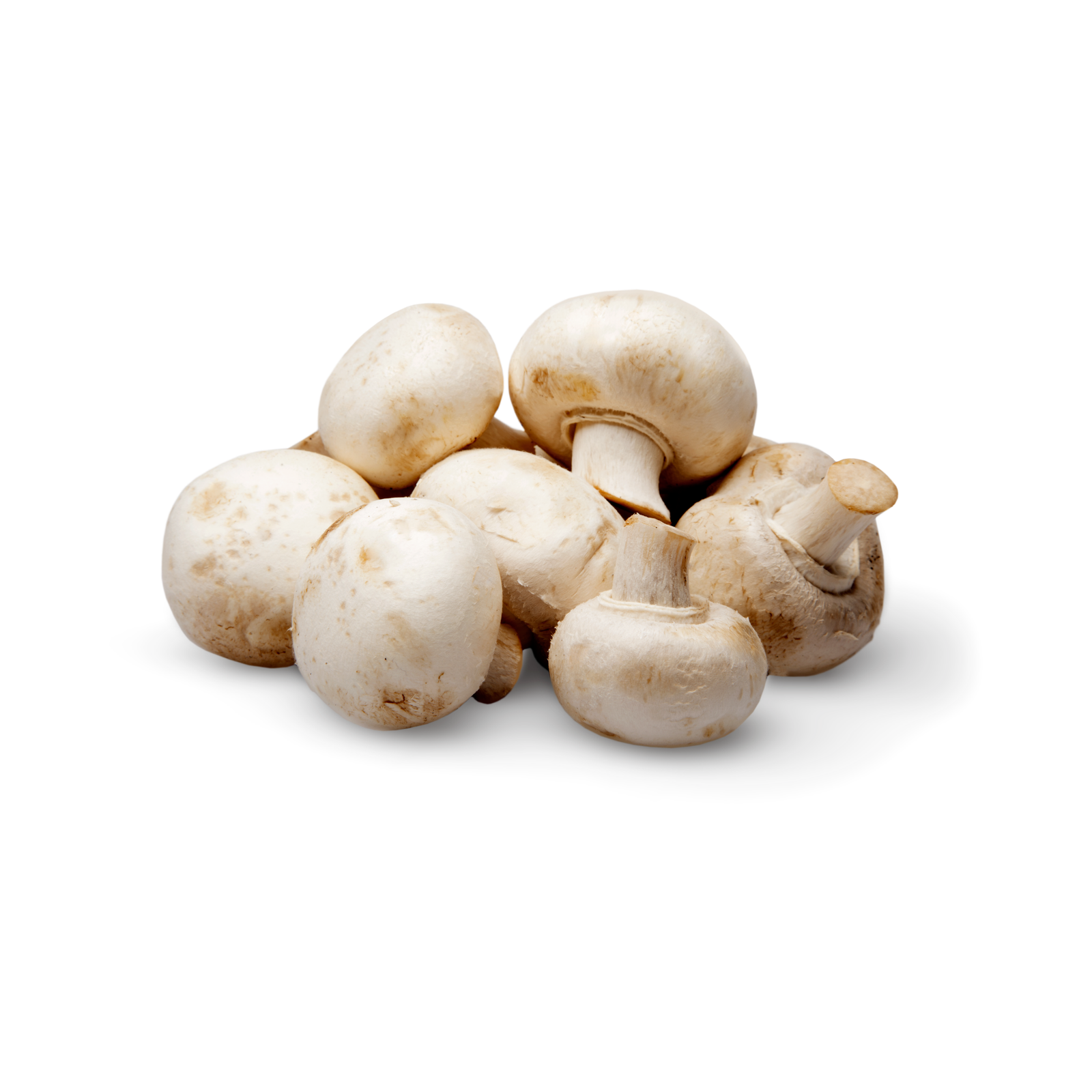 White Mushrooms 8oz - Image 1